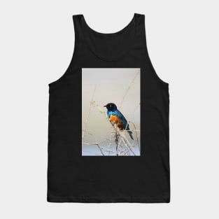 Superb Starling, Kenya Tank Top